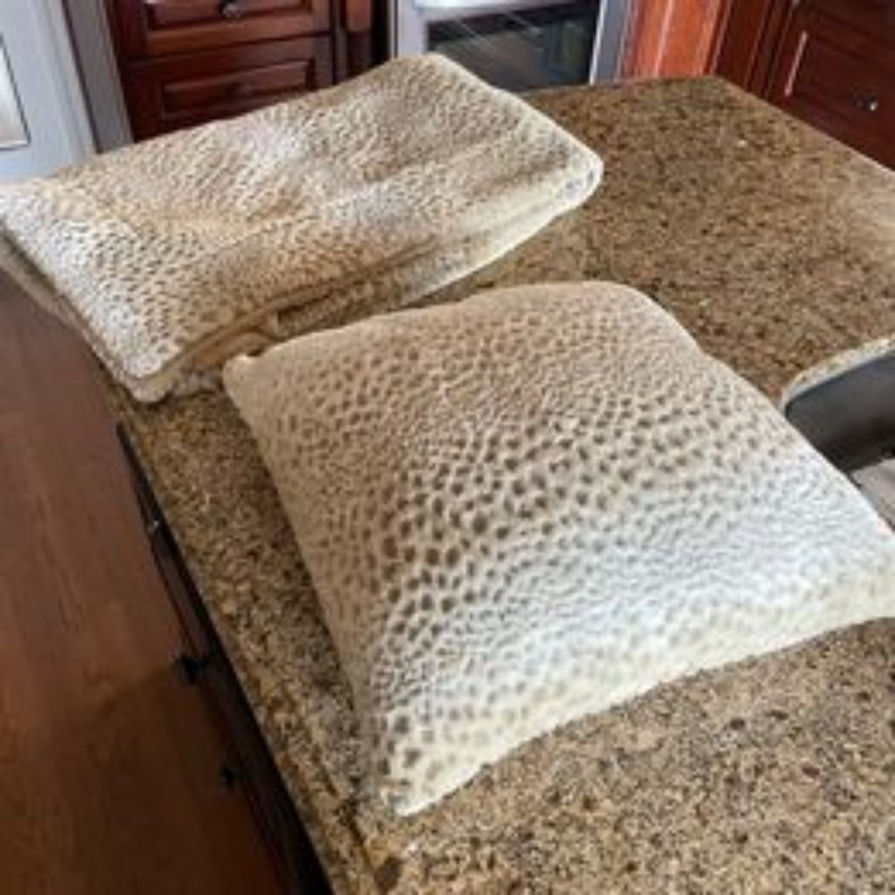 Staging Throw & Pillow